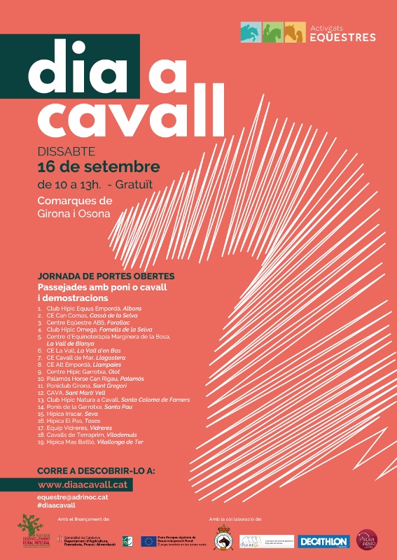 Cartell_DiaACavall_2017