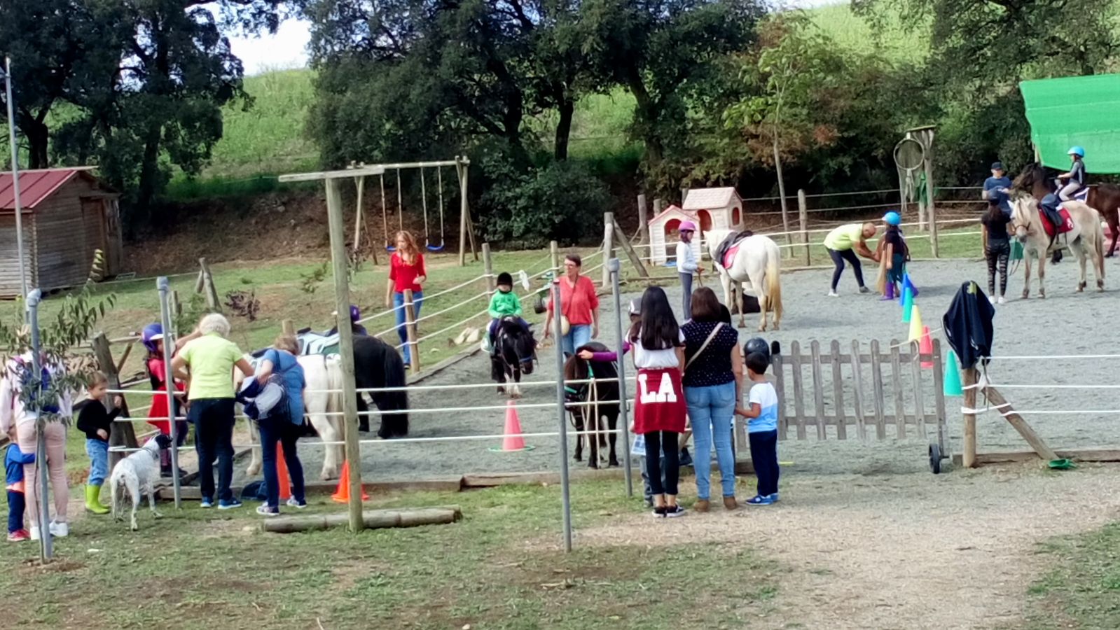 Passeigs_canComas-diaacavall-2017 Passeigs_canComas-diaacavall-2017