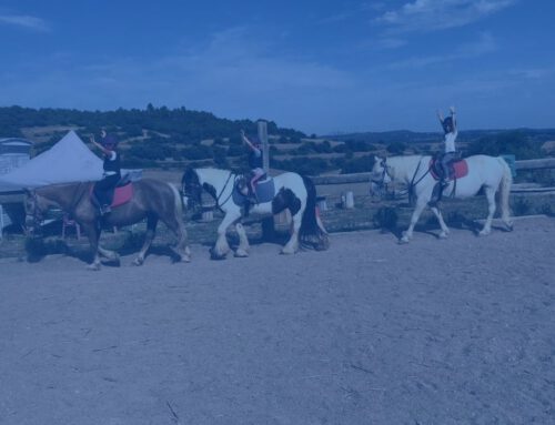 Promoció de l’equitació
