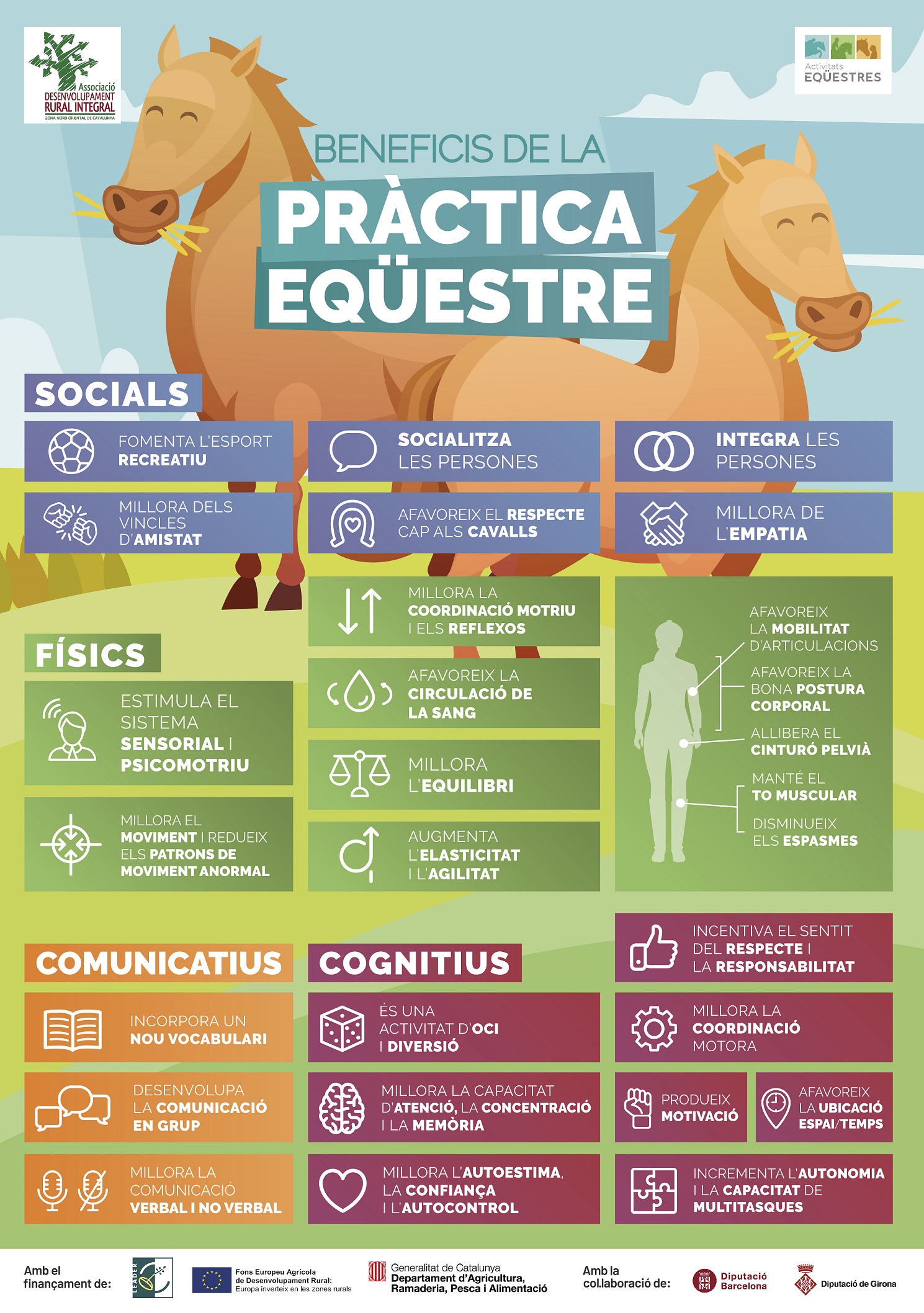 INFOGRAFIA_beneficis_equestre