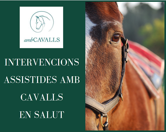 ambCAVALLS