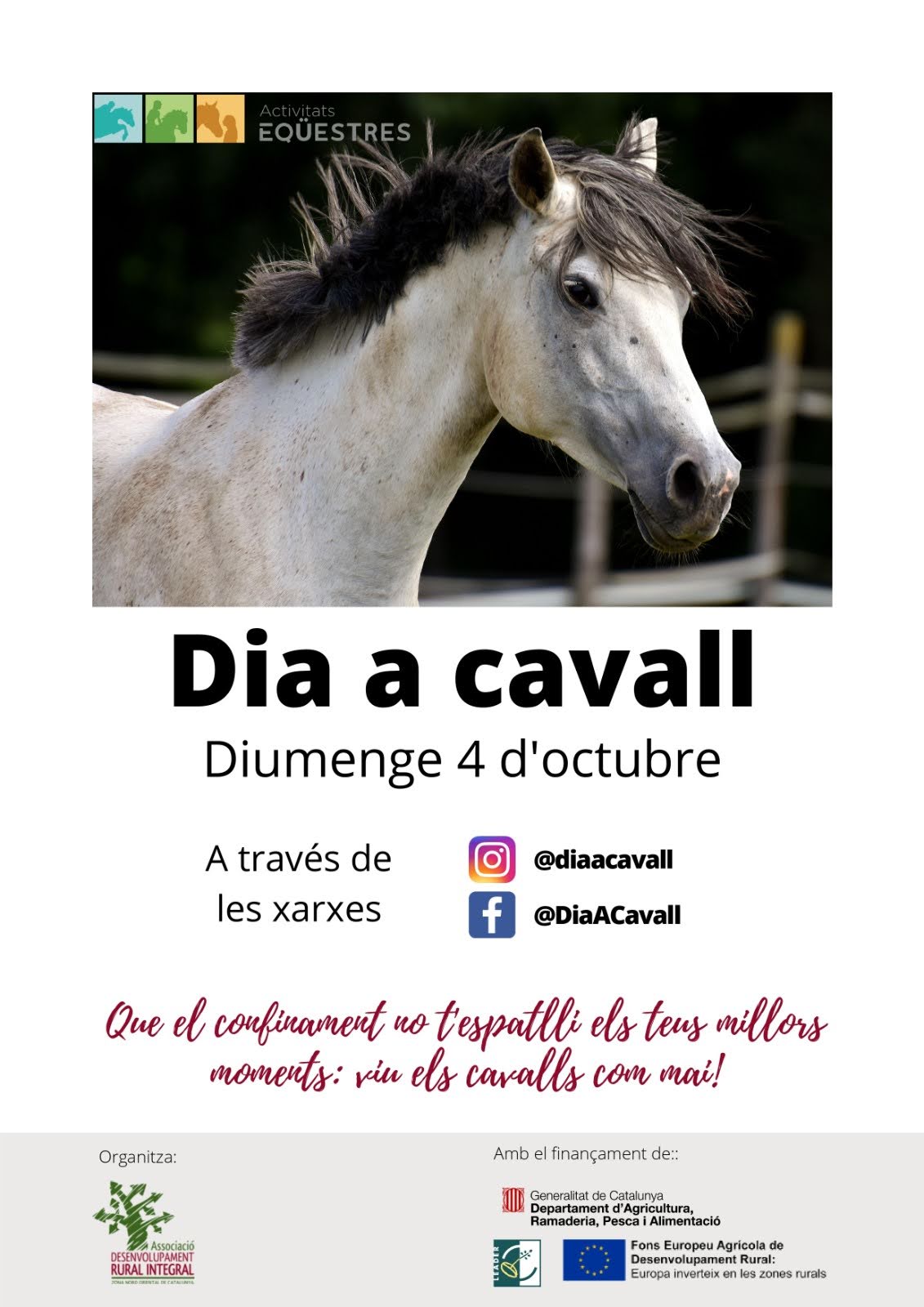 Cartell-DAC
