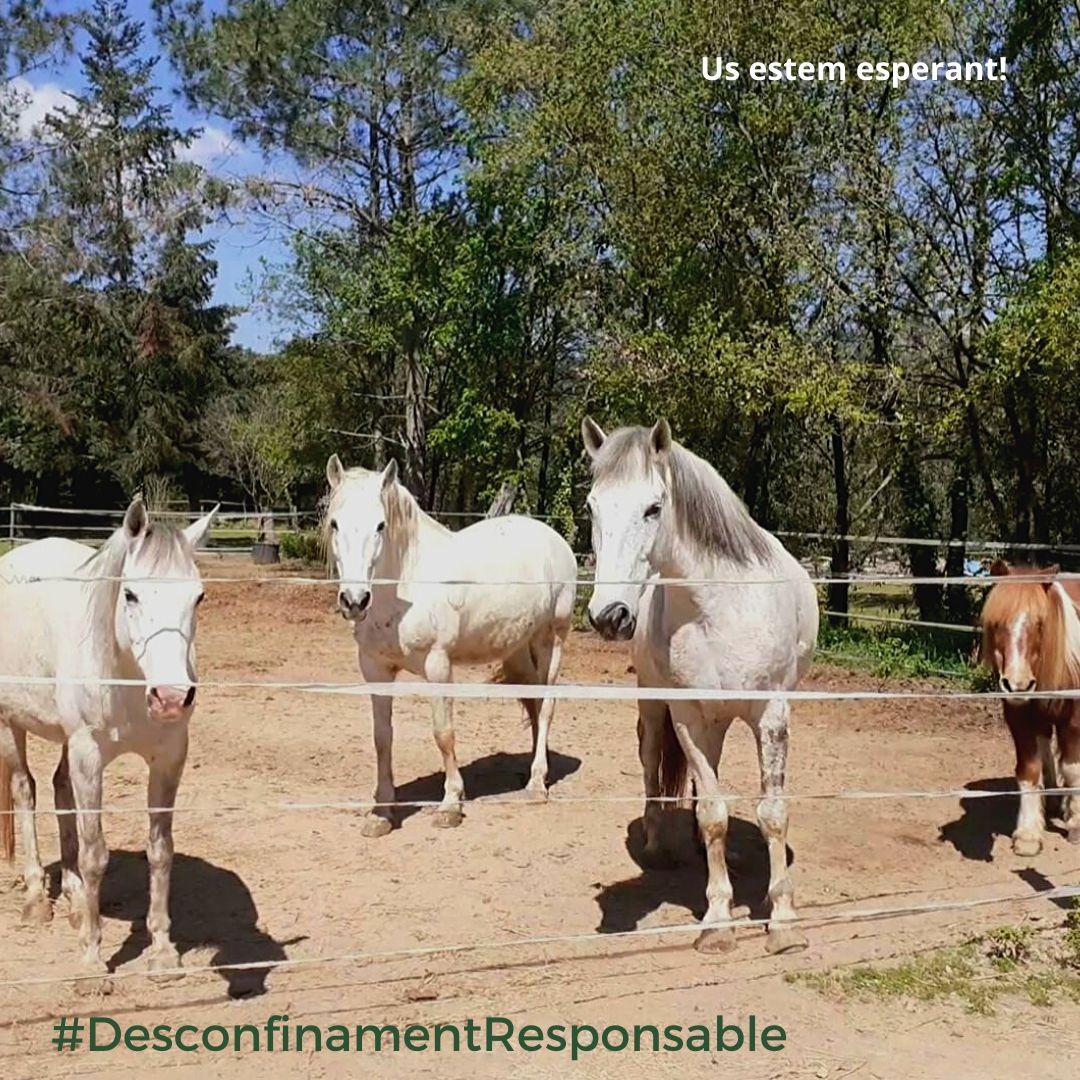 Desconfinament_responsable