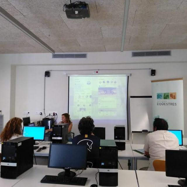 Formacio-gestio-comunicacio