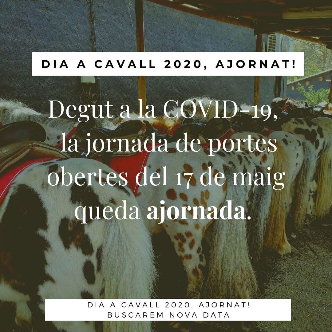 canvi-dac