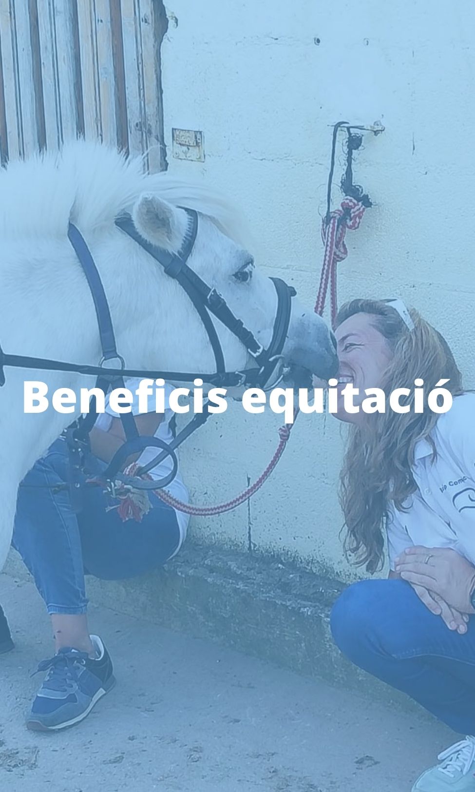 Beneficis Equitació