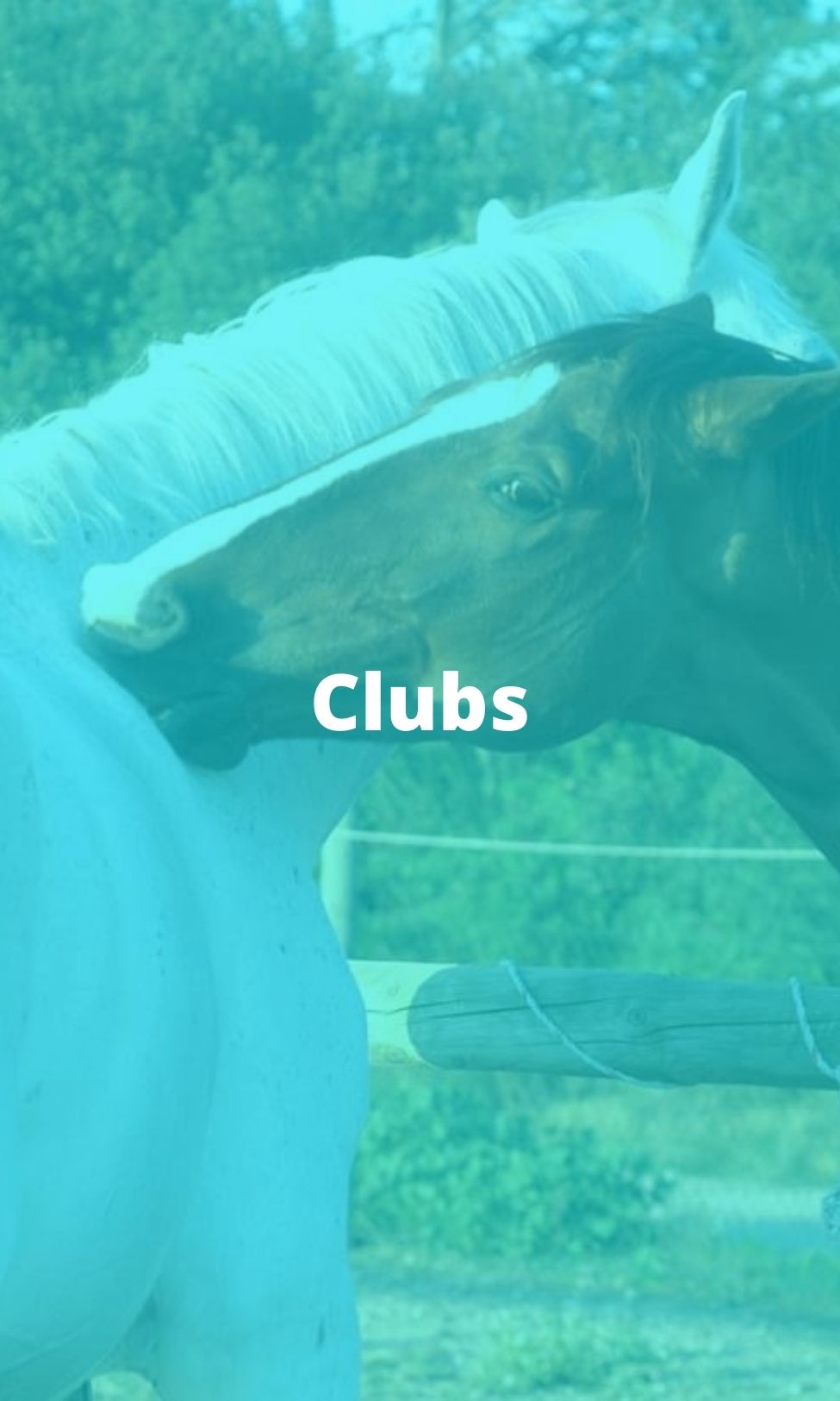 Clubs