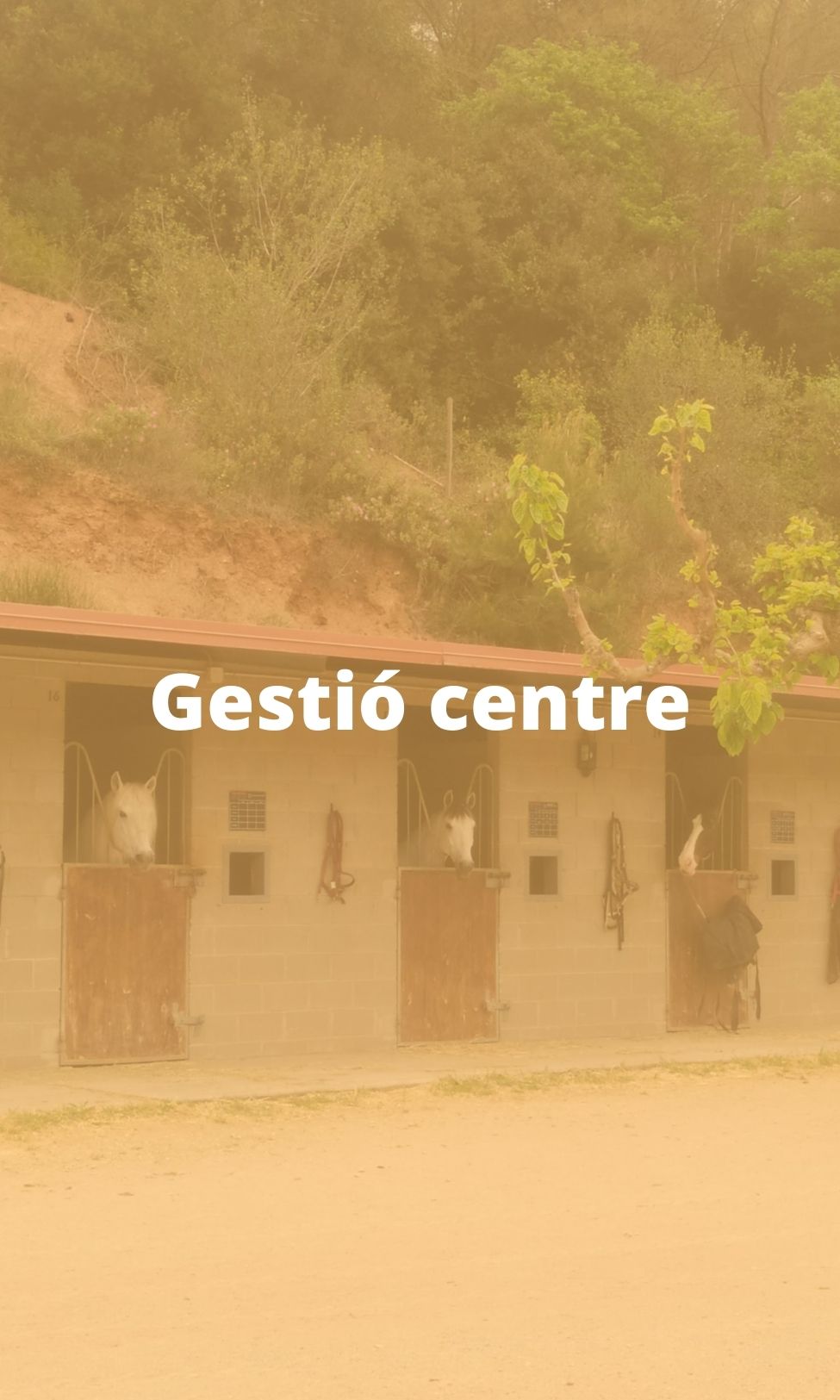 Gestió centre