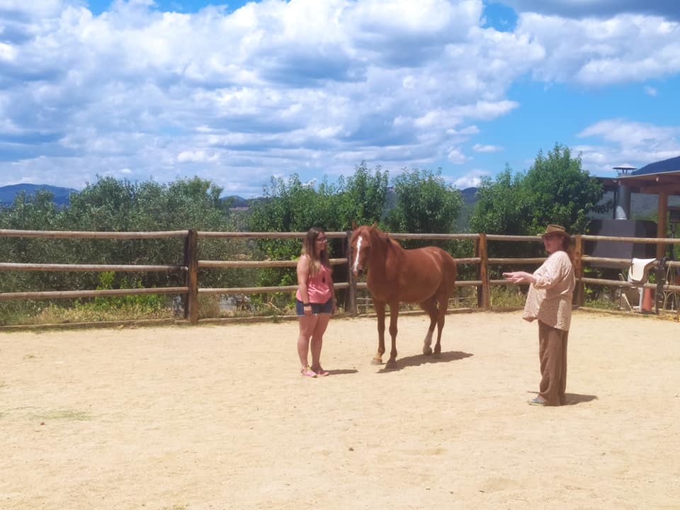sessio-coaching sessio-coaching