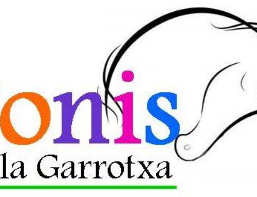 Ponis de la Garrotxa